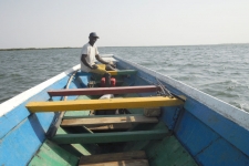 Sortie pêche Sine Saloum - Sénégal