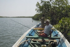 Sortie pêche Sine Saloum - Sénégal