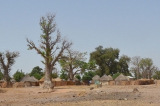 Sine Saloum Sénégal - Ô Coeur de Passy