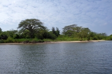 Pêche en mer Sine Saloum - Sénégal