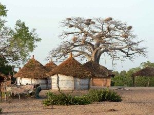 Tourisme Sénégal les endroits incontournable