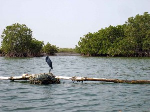 Tourisme Sénégal les endroits incontournable