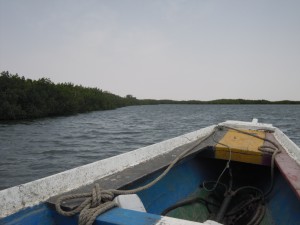 Séjour Sénégal témoignage